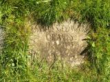 image of grave number 189691